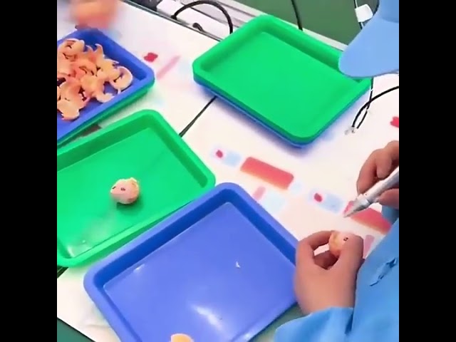 Máy Định Lượng Bơm Nhu Động Cho Keo UV Khô Nhanh, Mực In Chính Xác - Điều Khiển Thông Minh