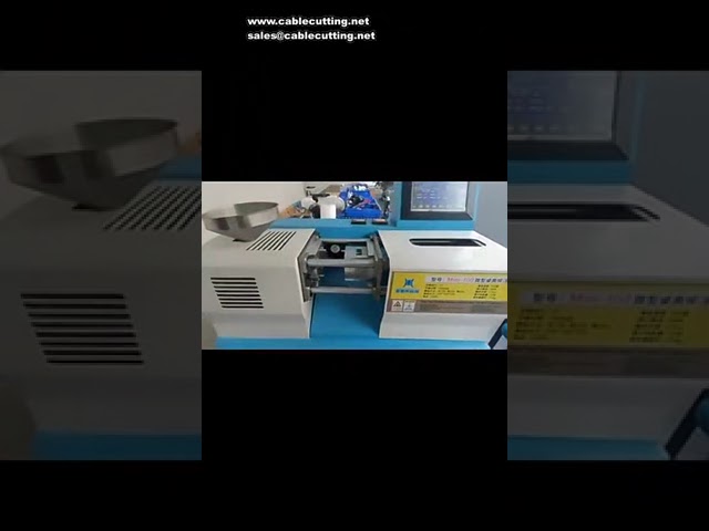 Máy ép nhựa mini để bàn 2T Model 220 – Công suất 1KW, Hành trình 150mm, Điện 220V phù hợp gia công nhựa
