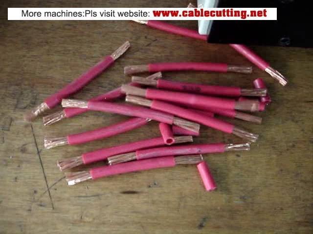 Máy tuốt và cắt dây cáp đa lõi 10 mm² WPM-09JE2 - Tự động hóa hiệu quả