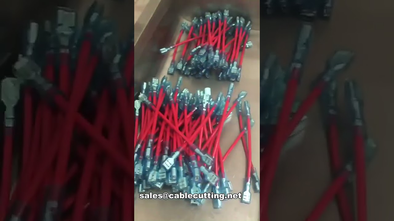 Máy ép đầu cốt tự động hai đầu - Cấp phôi rung, ép nguội servo