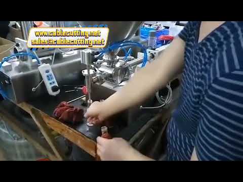 Máy chiết rót sản phẩm sệt 10ml-5000ml (đầu đơn/kép) - Dùng cho dầu gội, nước rửa chén, sốt, sữa chua