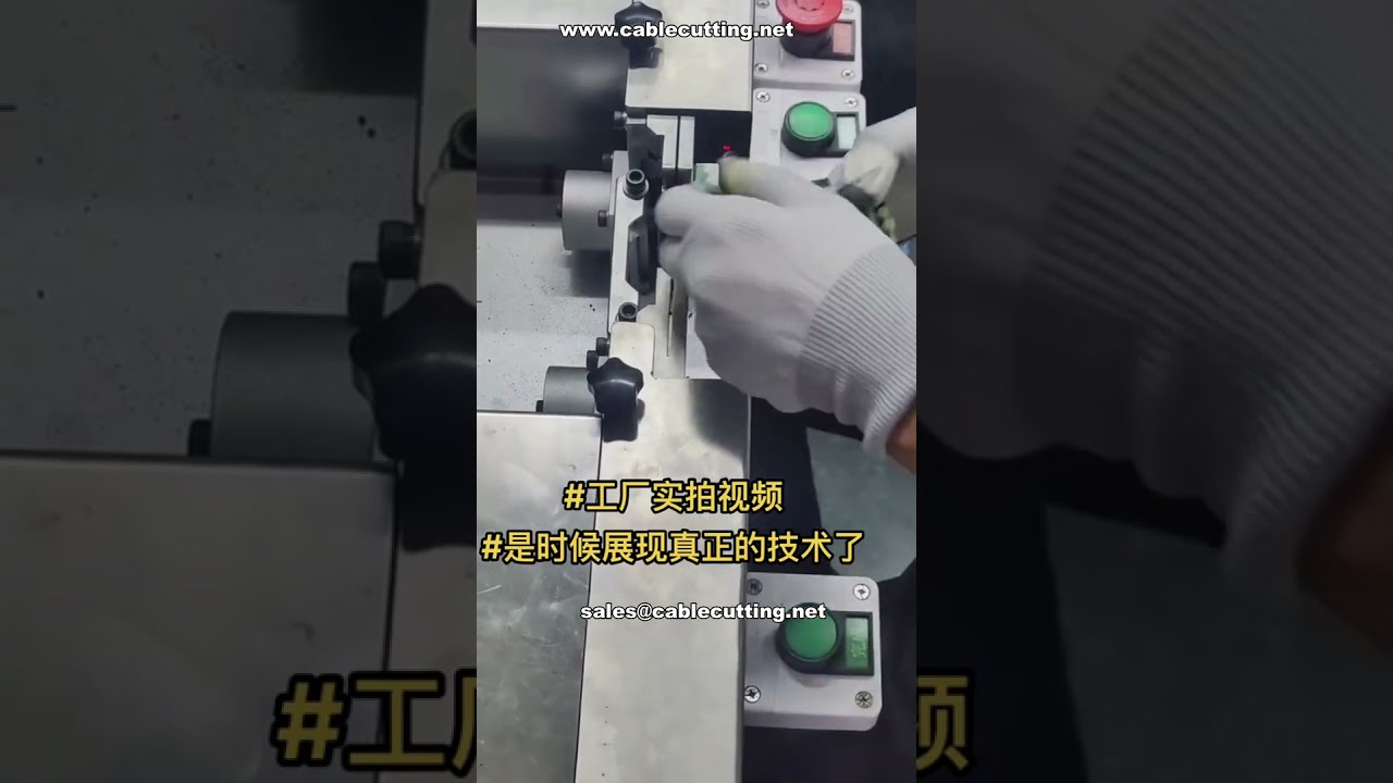 Trình diễn trực tiếp: Máy lắp ráp chổi than tự động | Tự động hóa nhà máy | Tiết kiệm nhân công
