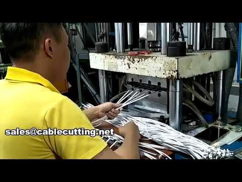 Máy ép phun thẳng đứng WPM-701-2T - Ép nhựa chính xác, tối ưu tự động hóa