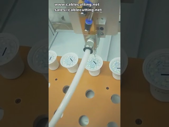 Máy chiết rót keo epoxy AB hai thành phần tự động – Định lượng và trộn khuấy chính xác