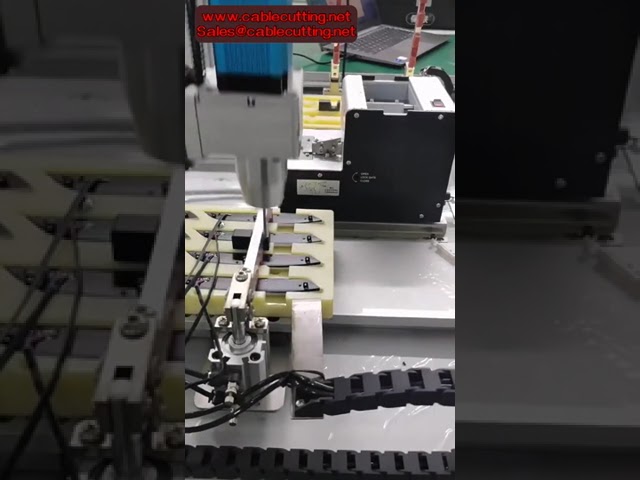 Robot vặn ốc servo tự động - Máy siết ốc trạm kép với hệ thống cấp ốc tự động
