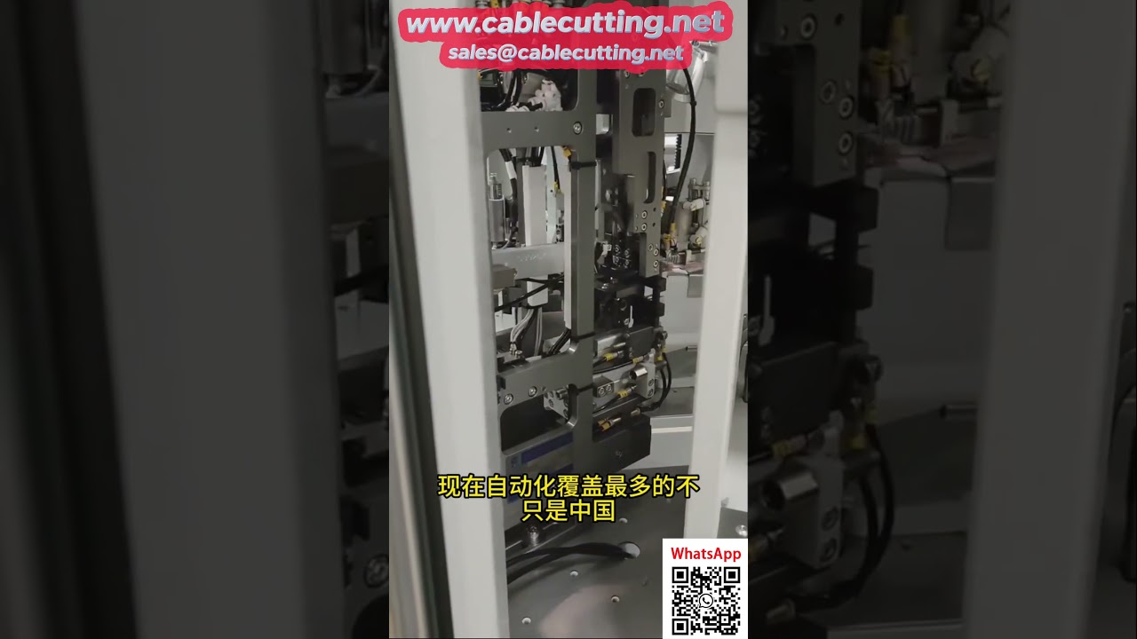 Thiết bị dây chuyền sản xuất tự động - Nâng tầm hiệu quả nhà máy